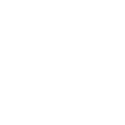 Rally