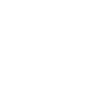 Rally